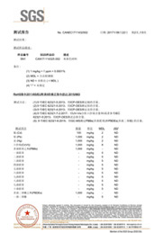 陶瓷砂SGS测试报告2